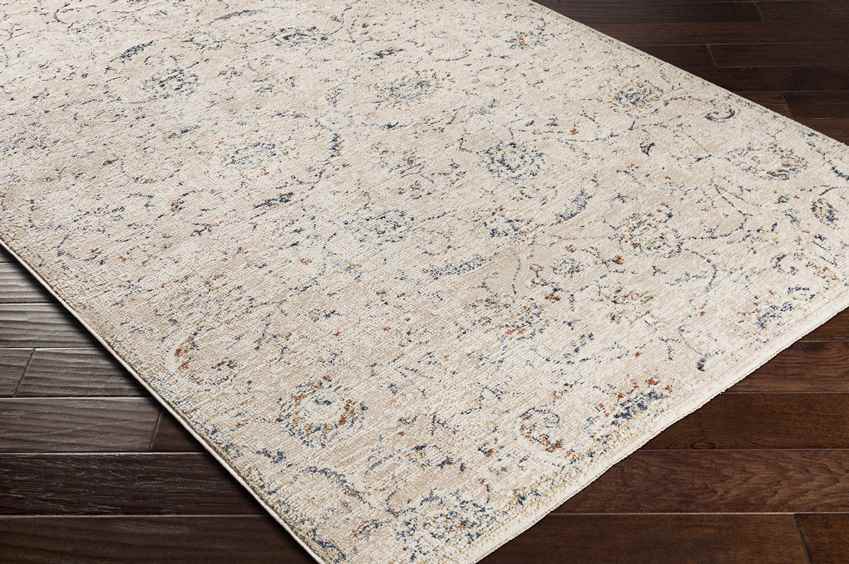 Montpelier Traditional Beige Area Rug