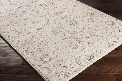 Montpelier Traditional Beige Area Rug