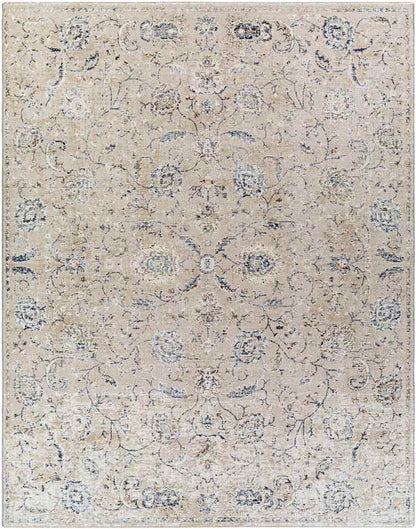 Montpelier Traditional Beige Area Rug