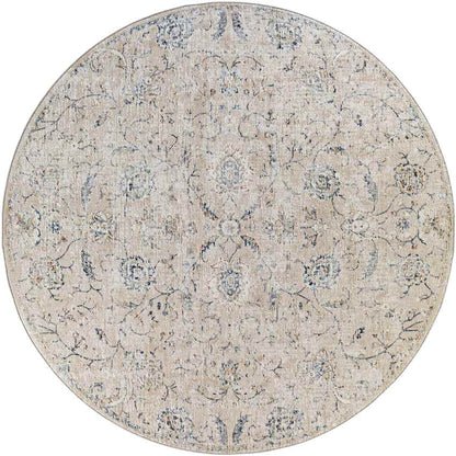 Montpelier Traditional Beige Area Rug