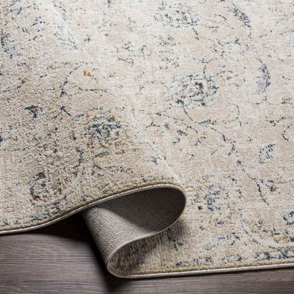 Montpelier Traditional Beige Area Rug