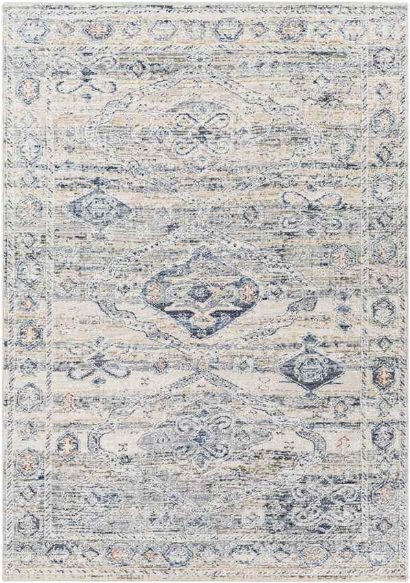 Vanderburgh Traditional Medium Gray Area Rug