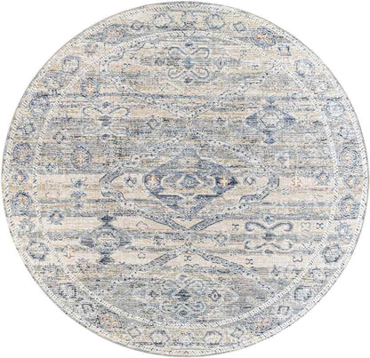 Vanderburgh Traditional Medium Gray Area Rug