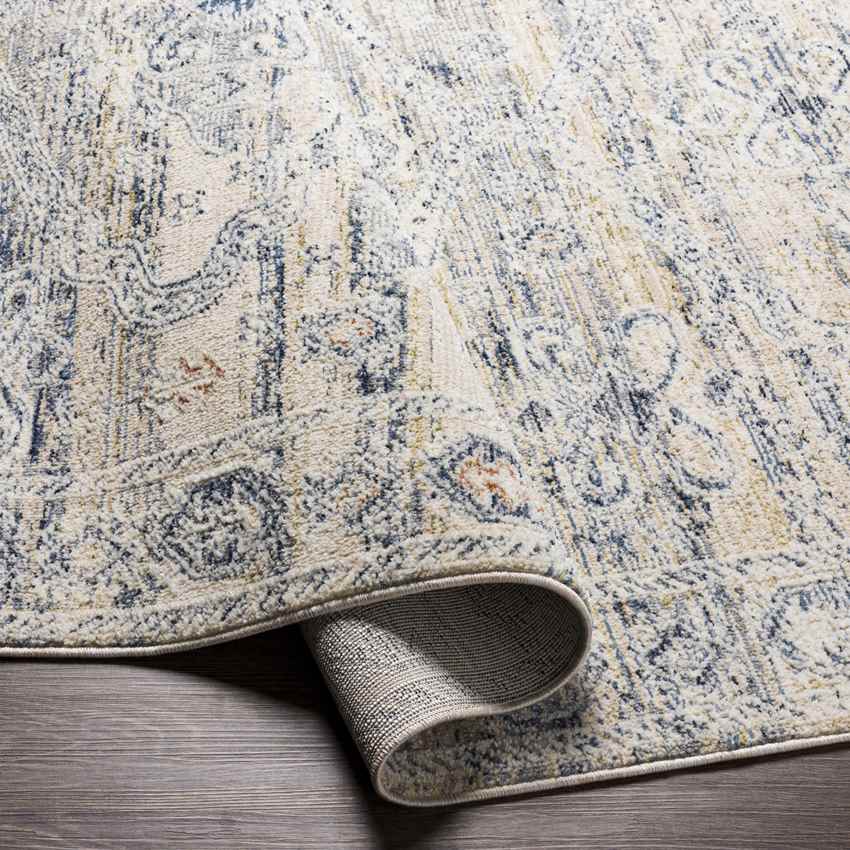 Vanderburgh Traditional Medium Gray Area Rug