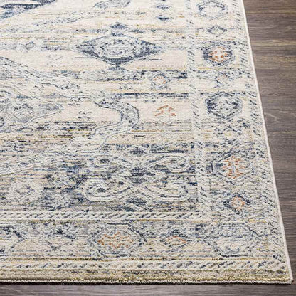 Vanderburgh Traditional Medium Gray Area Rug
