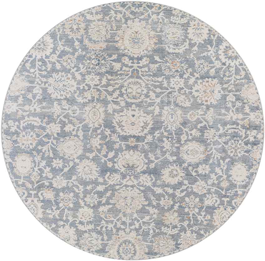Jennings Traditional Beige Area Rug