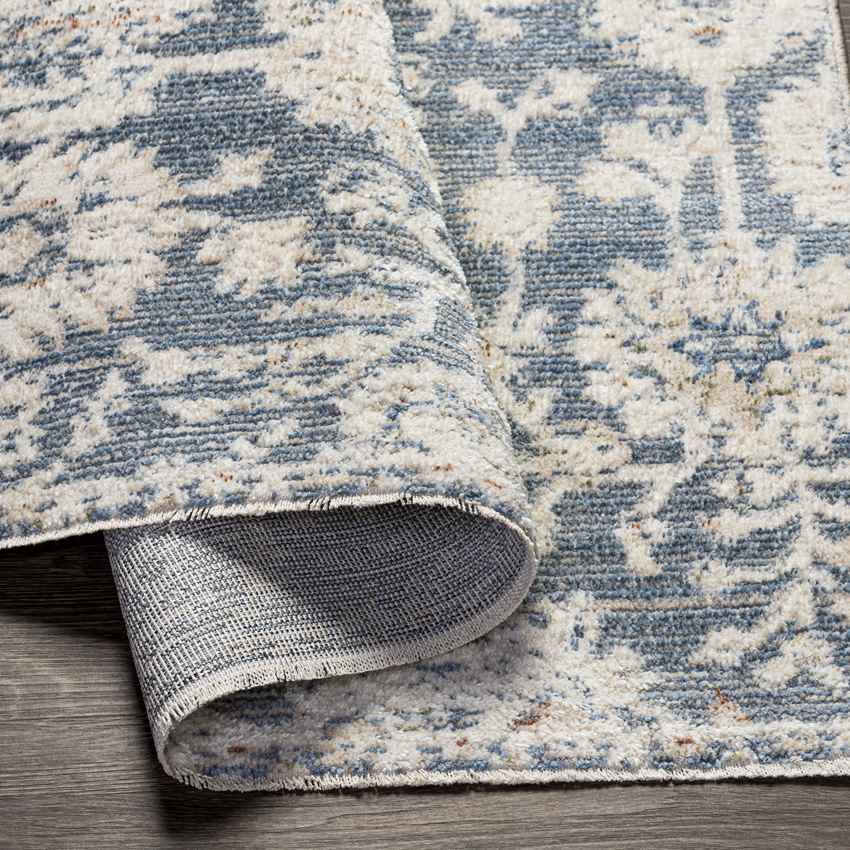 Jennings Traditional Beige Area Rug