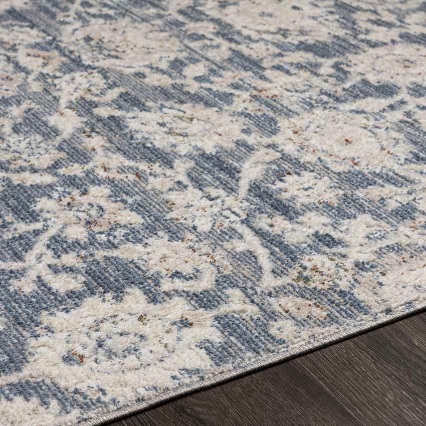 Jennings Traditional Beige Area Rug
