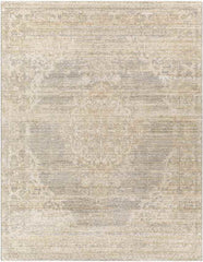 Warrick Traditional Beige Area Rug