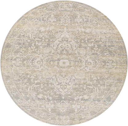 Jay Traditional Beige Area Rug