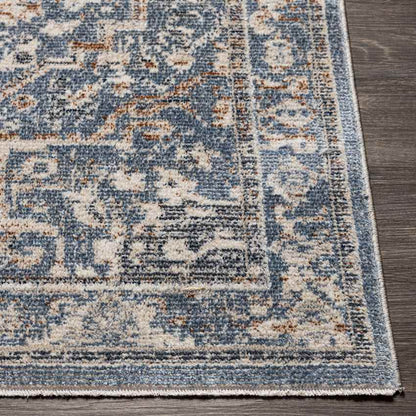 Jay Traditional Dark Teal Area Rug
