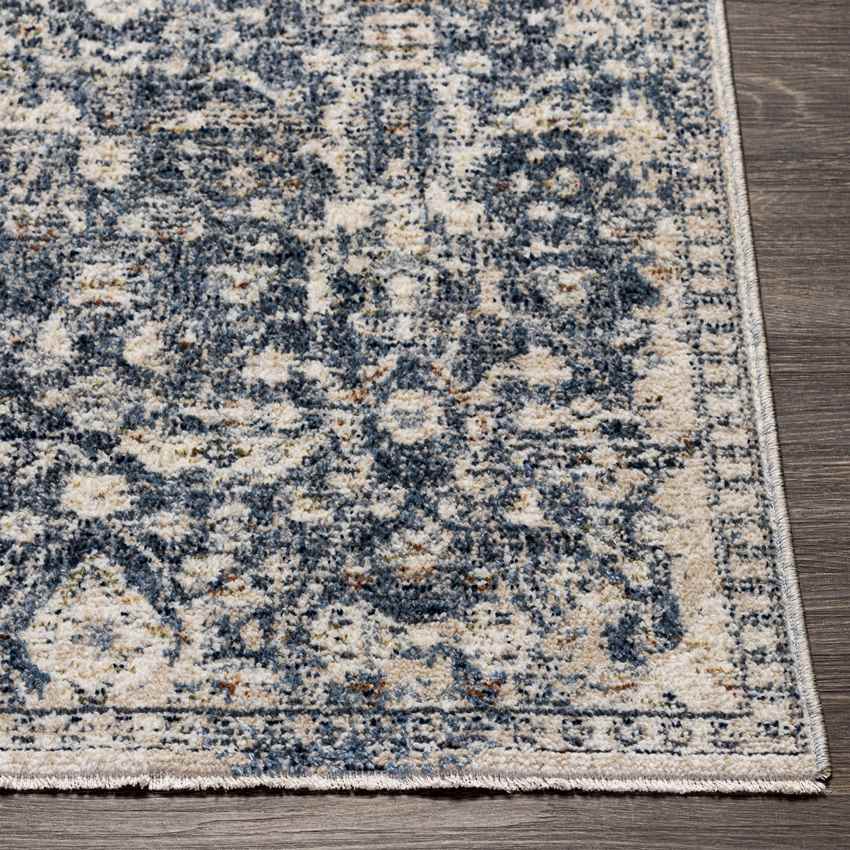 Blackford Traditional Navy Area Rug