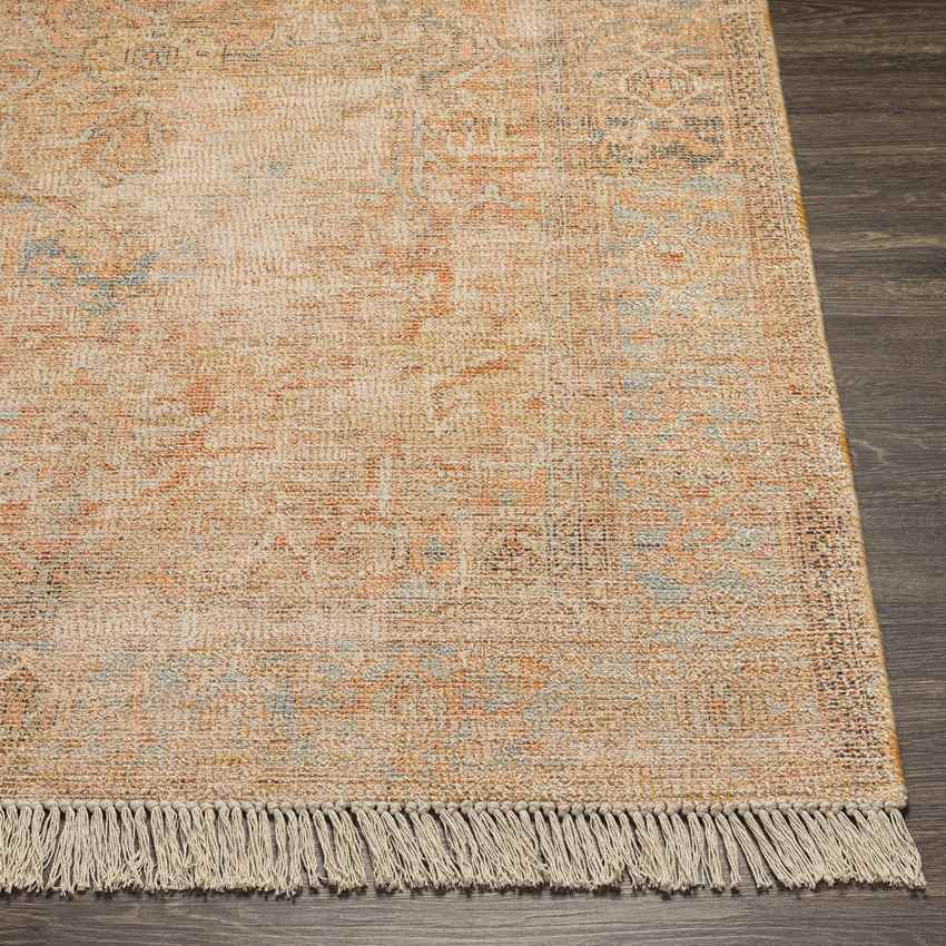 Mound Traditional Burnt Orange Area Rug