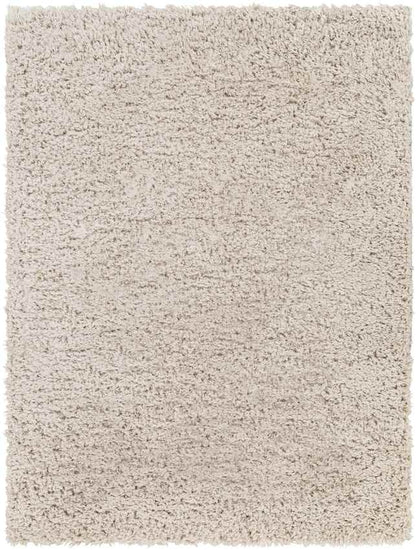 Abraham Modern Beige Area Rug