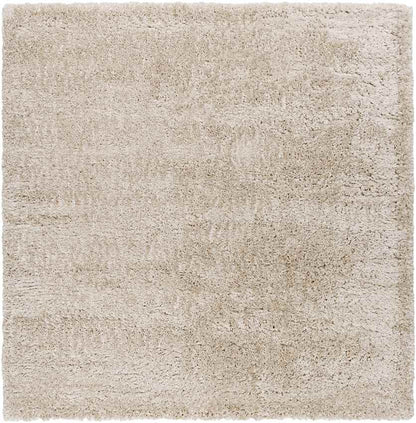Abraham Modern Beige Area Rug