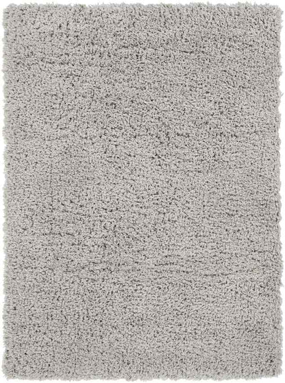 Abraham Modern Gray Area Rug