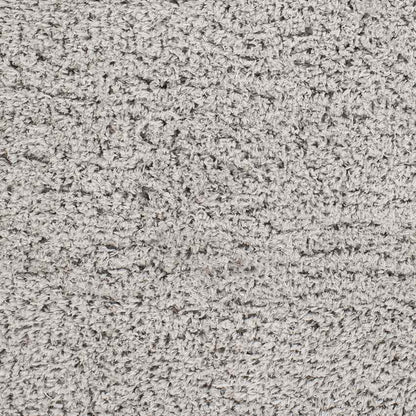 Abraham Modern Gray Area Rug