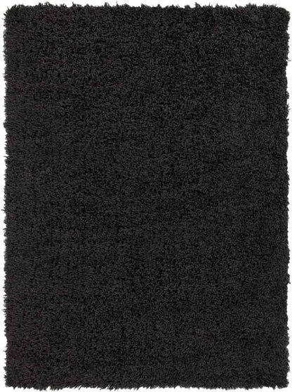 Abraham Modern Black Area Rug