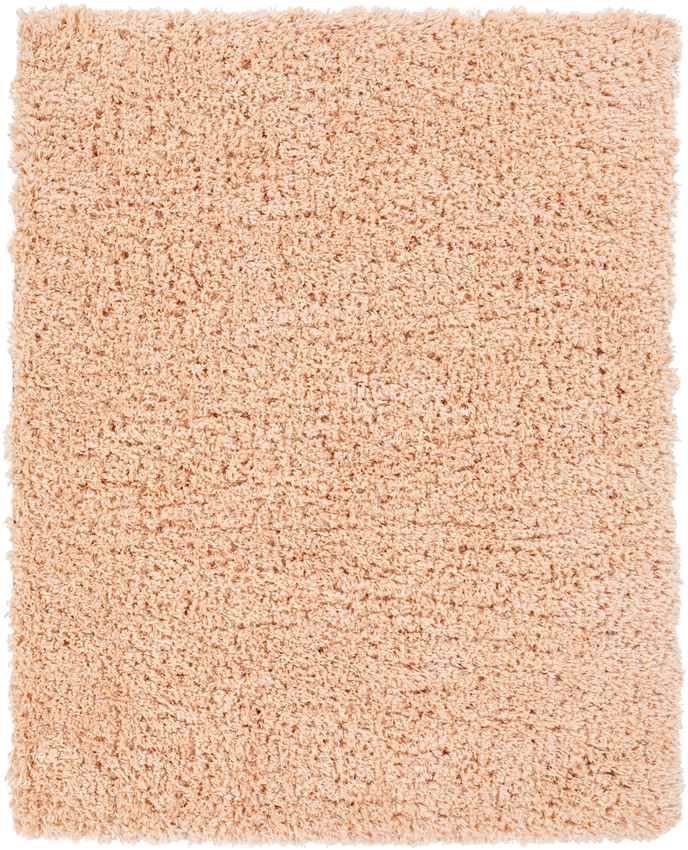 Abraham Modern Peach Area Rug