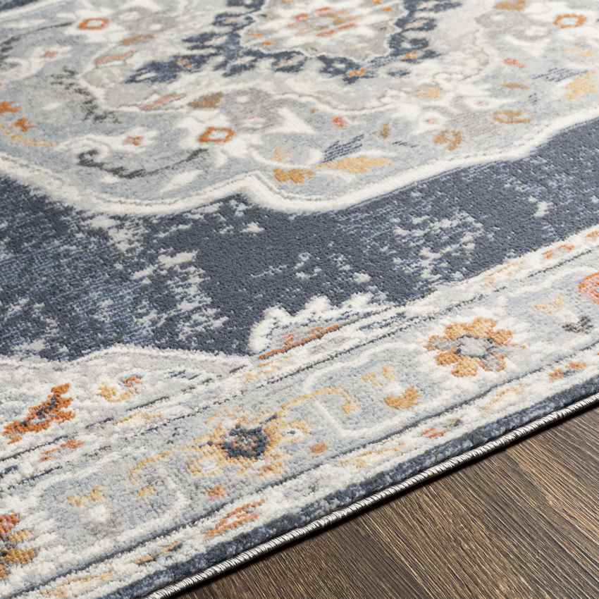 Rock Falls Traditional Pale Blue Area Rug
