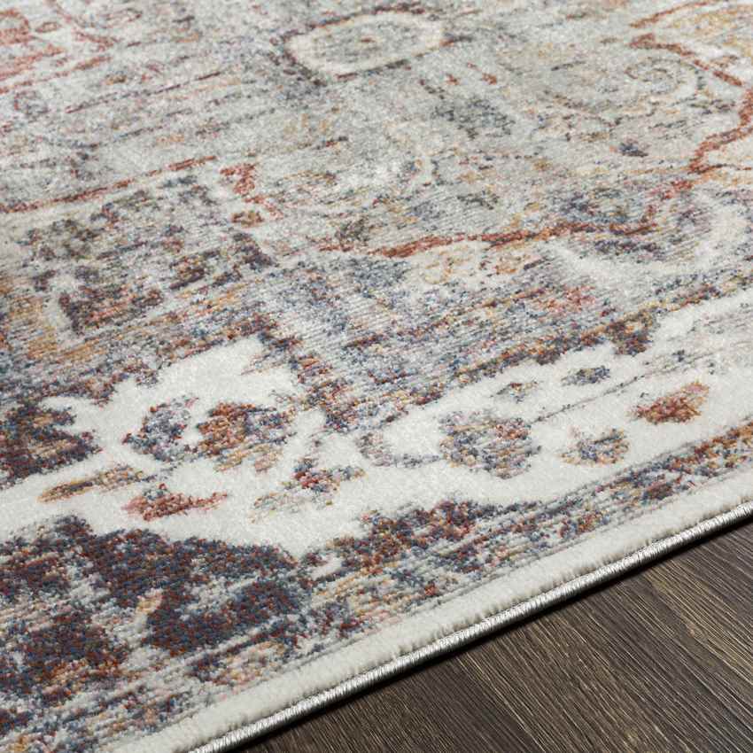 Rolling Meadows Traditional Light Gray Area Rug