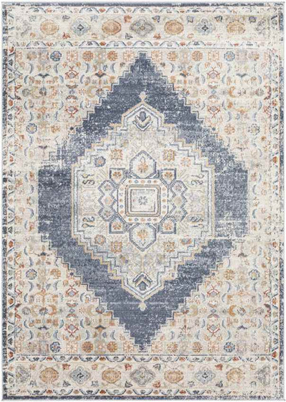 Round Lake Beach Traditional Denim Area Rug