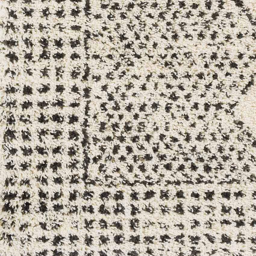 Fox River Grove Global Charcoal Area Rug