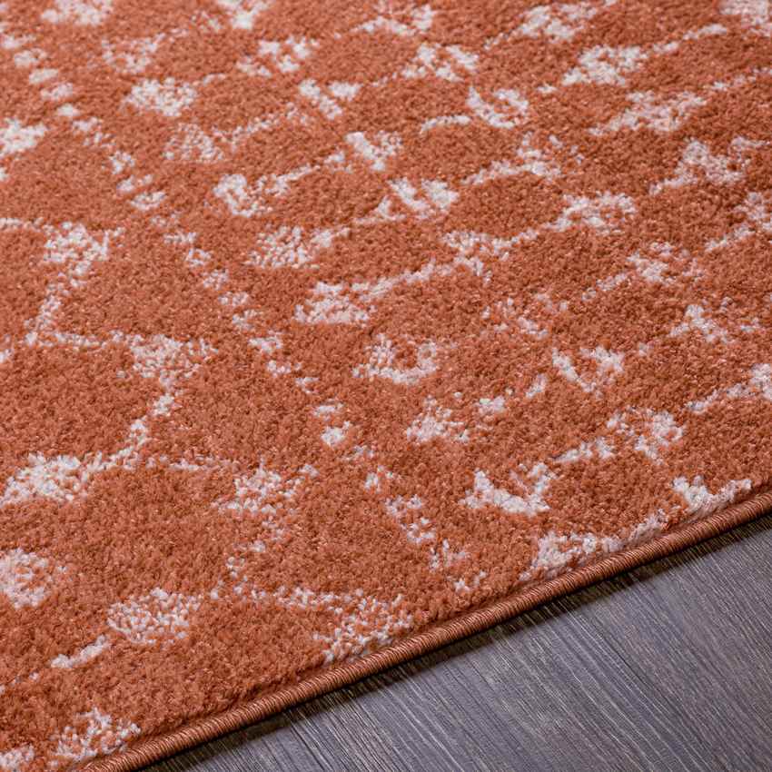 Gabriel Global Coral Area Rug