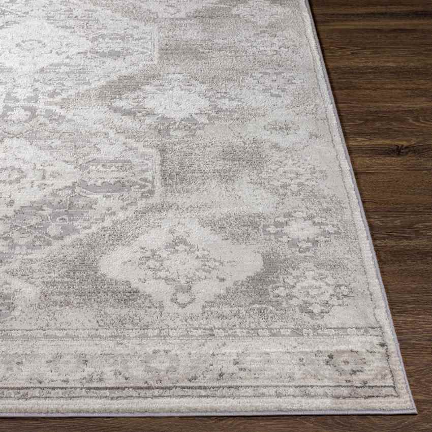 New Salem Traditional Charcoal Area Rug