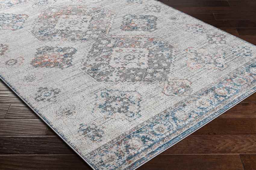 New Salem Traditional Aqua Area Rug