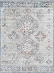New Salem Traditional Aqua Area Rug