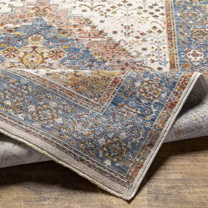 Todd Traditional Burnt Orange Area Rug