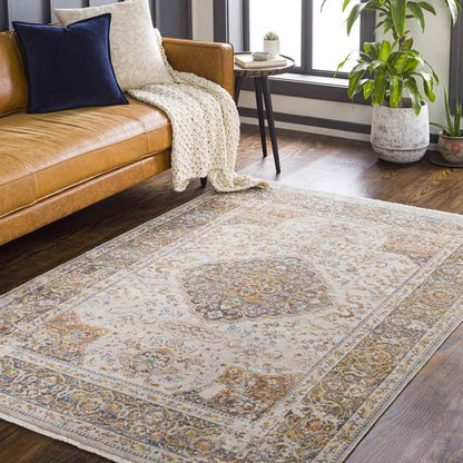 Willow Hill Traditional Burnt Orange Area Rug