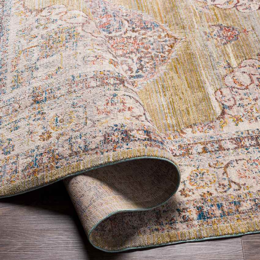 Winthrop Harbor Traditional Olive Area Rug