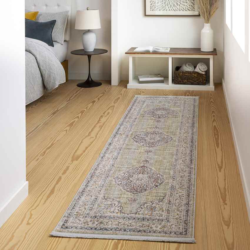 Winthrop Harbor Traditional Olive Area Rug
