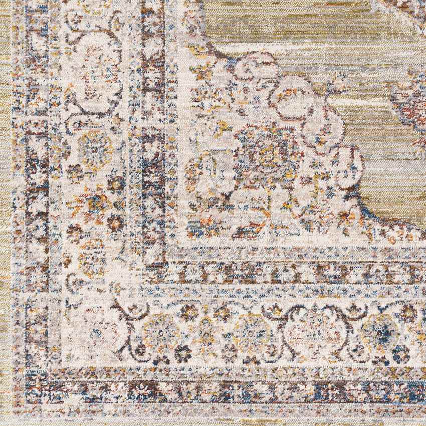 Winthrop Harbor Traditional Olive Area Rug