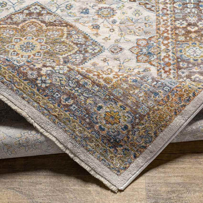 Wonder Lake Traditional Burnt Orange Area Rug