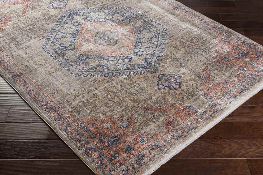 Pittsboro Traditional Taupe Area Rug