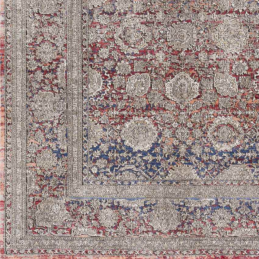 Poneto Traditional Brown Area Rug