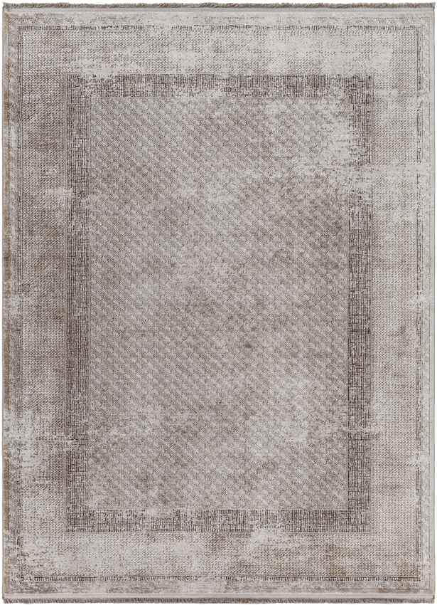 Sweetser Traditional Taupe Area Rug
