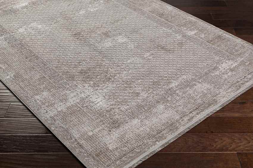 Sweetser Traditional Taupe Area Rug