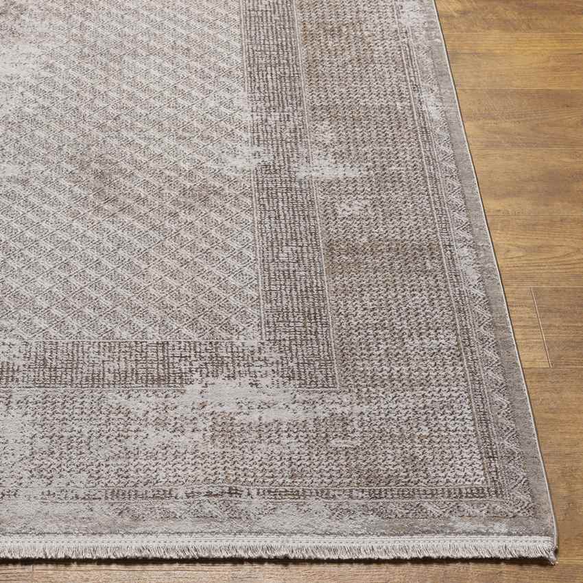 Sweetser Traditional Taupe Area Rug