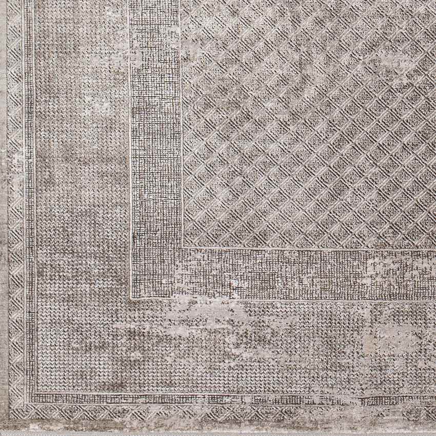 Sweetser Traditional Taupe Area Rug