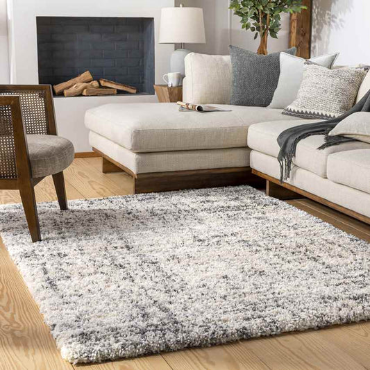 Indian Head Park Modern Light Gray Area Rug