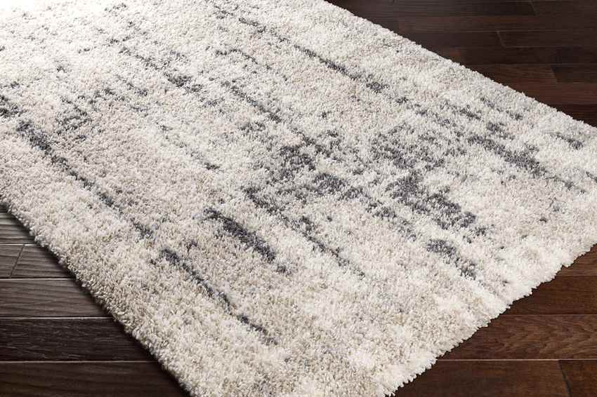 La Grange Park Modern Beige Area Rug