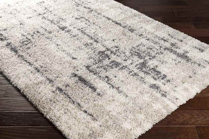 La Grange Park Modern Beige Area Rug