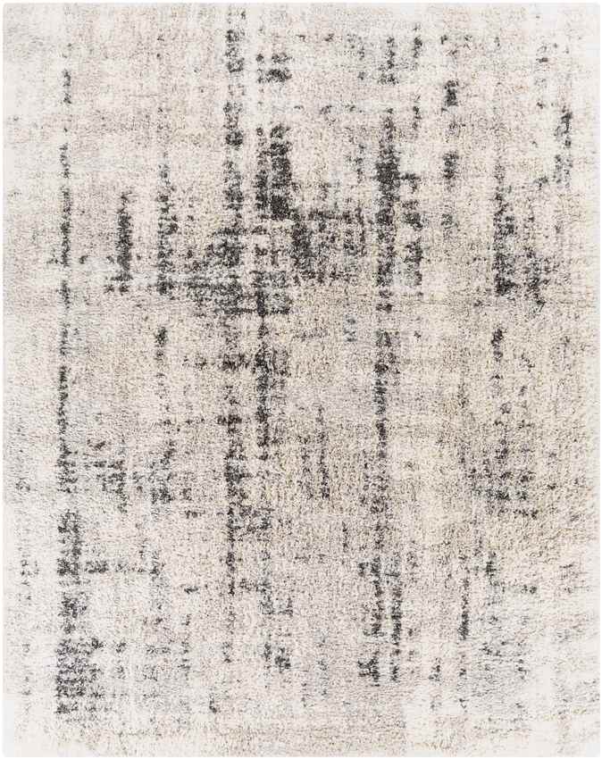 La Grange Park Modern Beige Area Rug