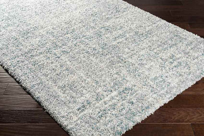 La Rose Modern Aqua Area Rug