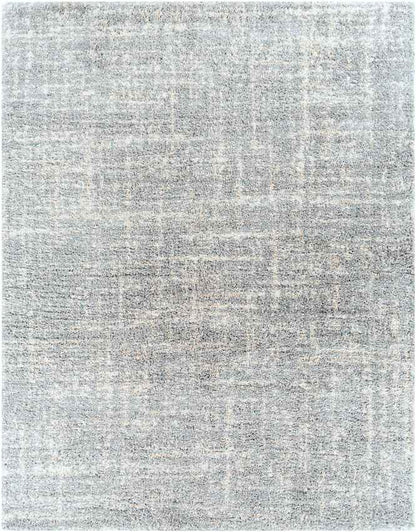 La Rose Modern Aqua Area Rug