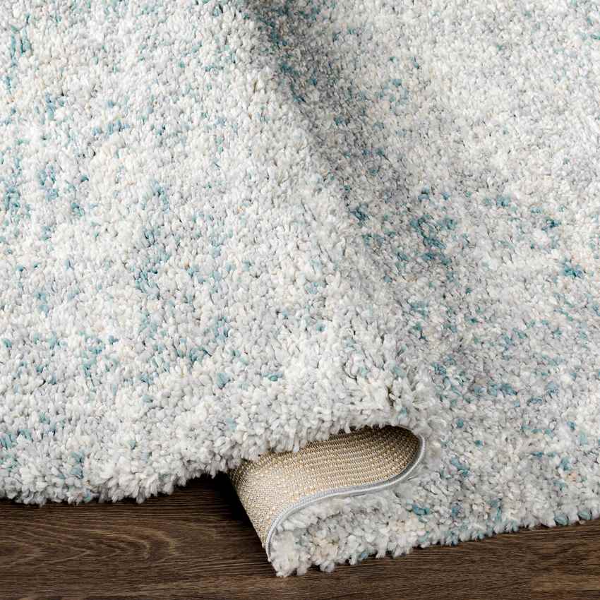 La Rose Modern Aqua Area Rug
